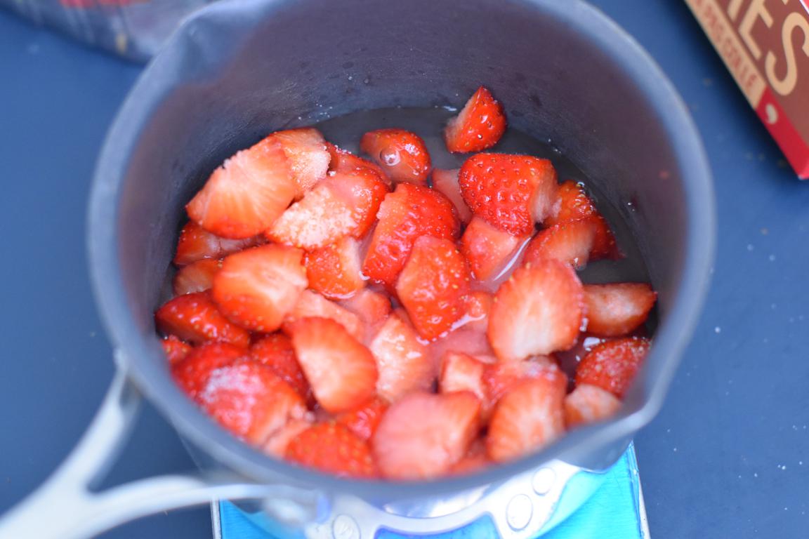 alt fraisiermagnum5