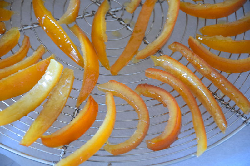 alt orangettes3